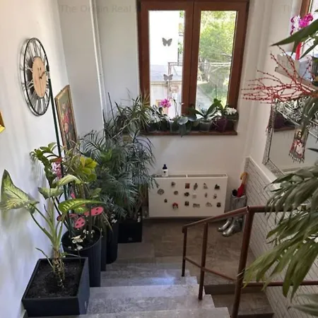 Cozy Apartament アパート